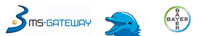 ms-gateway_200 ms-gateway_200